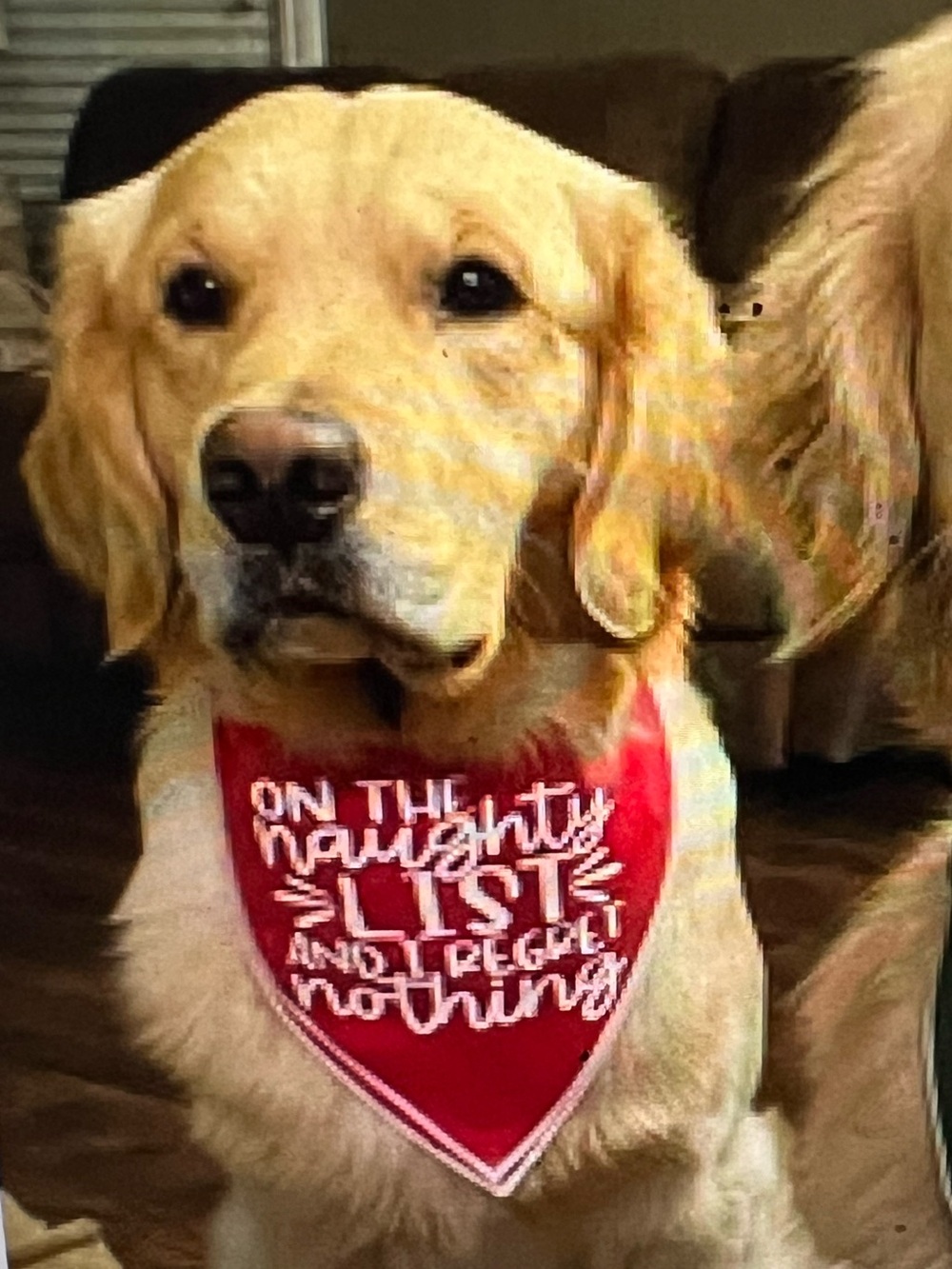DOG TIE ON BANDANA CHRISTMAS EMBROIDERED